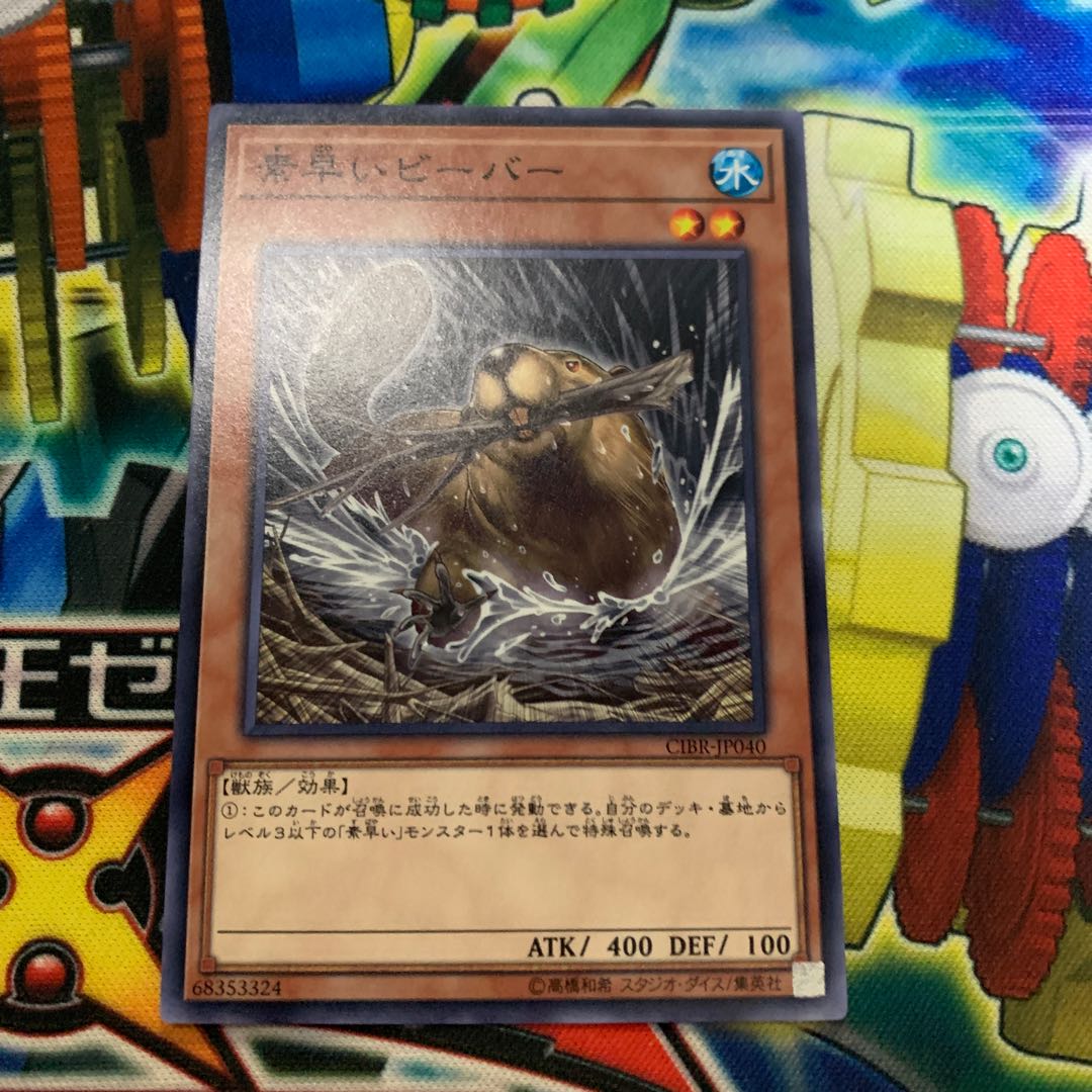 Nimble Beaver Normal rare JP040