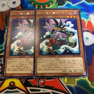 BF-隠れ蓑のスチーム レア JP028