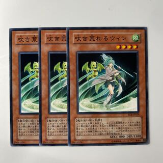 10098 Storming Wynn $6150