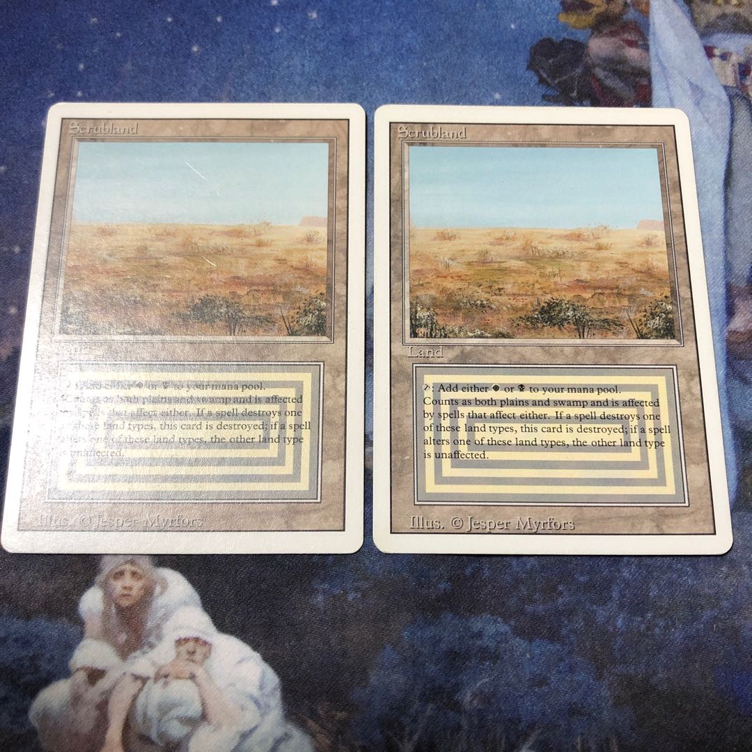 scrubland リバイズド英語２枚セット