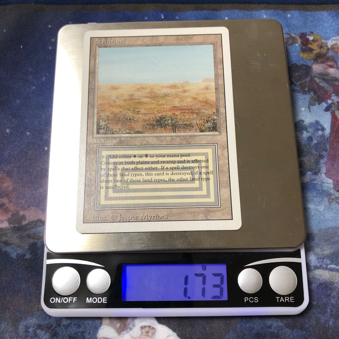 scrubland リバイズド英語２枚セット