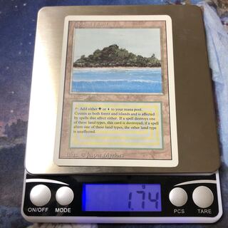 tropical island リバイズド英語