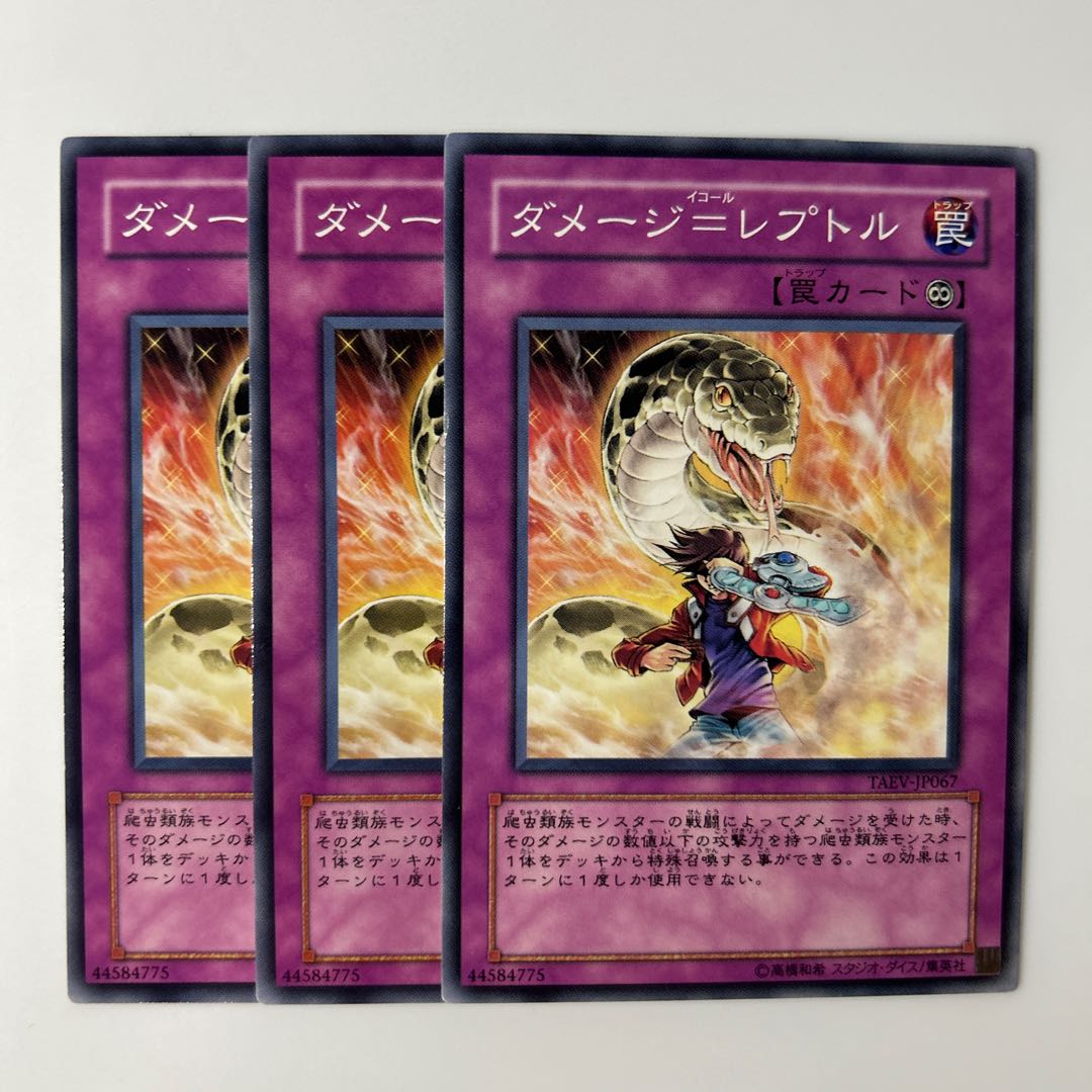 10137 ダメージ=レプトル ノーマル JP067