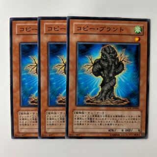 10142 Copy Plant $6205