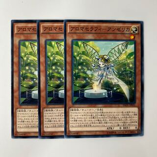 Aromatherapy Angelica $6211