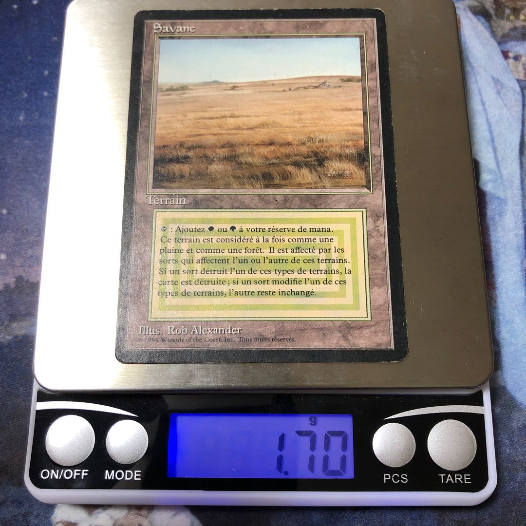 savannah 黒枠リバイズドフランス語