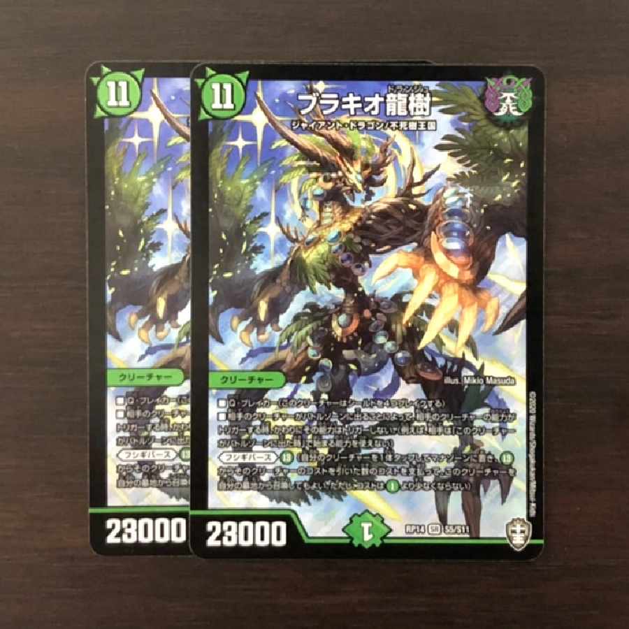 Ryuki Brachio SR S5/S11