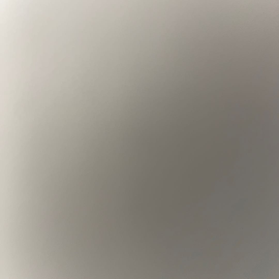 Remaining balance for Mr. Avis