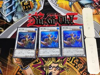 瑚之龍 RC02 2 スーパー 3枚セット てら