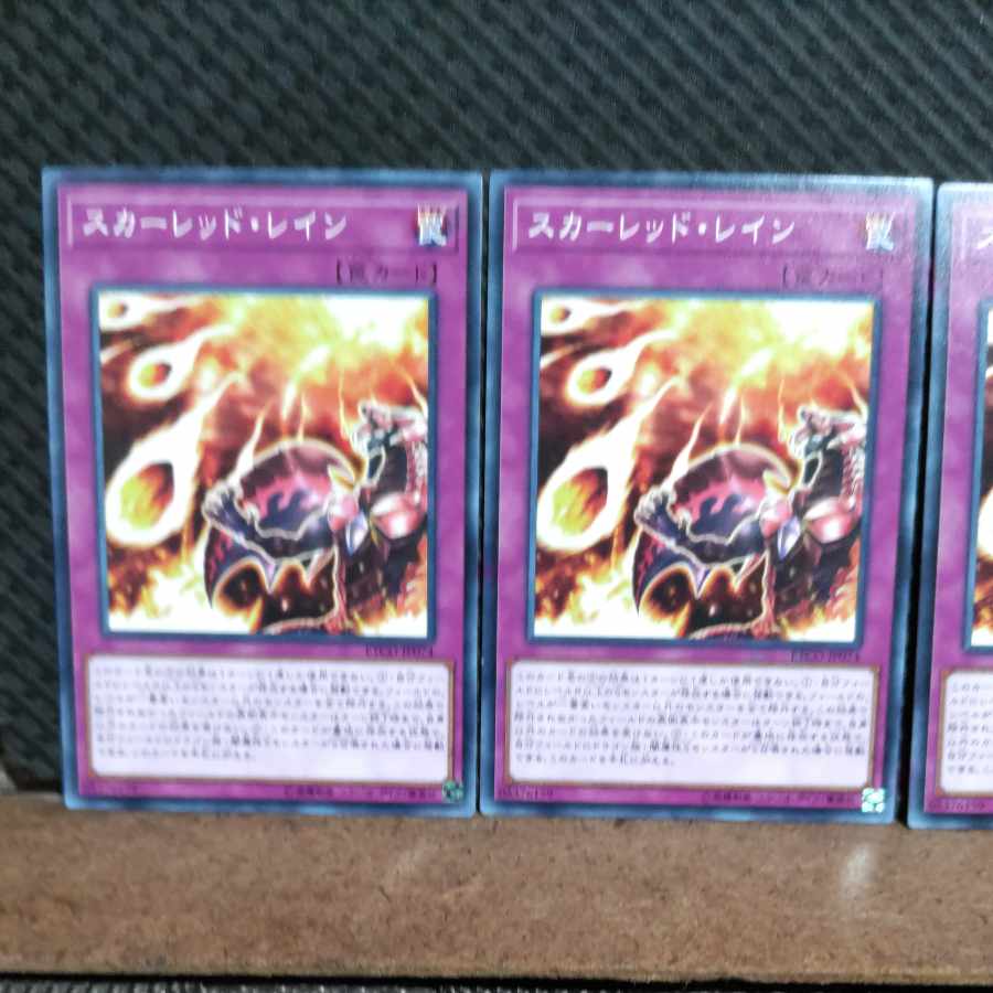 【ぽぽたん】遊戯王  #1571  スカーレッド・レイン  ノーマル  3枚