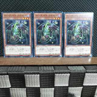 【ぽぽたん】遊戯王  #1577  ティンダングル・アポストル 3枚 ノーマル