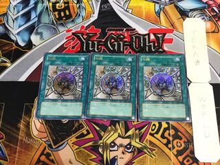 Shrink SK2 1 Ultra Set of 3 Tera