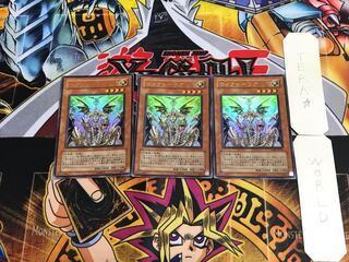 ウィクトーリア WJMP 3 ウルトラ 3枚セット てら