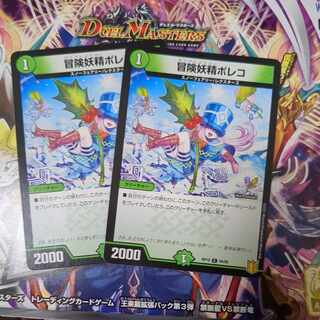 Adventure Fairy Poleco C 94/95