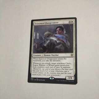 MTG　練達の地下探検家/Seasoned Dungeoneer　英語　在庫４