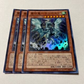 Storm Conquering Dragon - Tempest Super Rare JP041