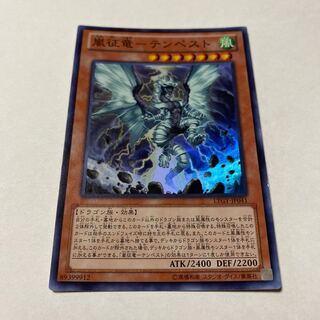 Storm Conquering Dragon - Tempest Super Rare JP041