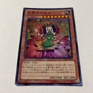 Chirubimé, Princess of Autumn Leaves Super Rare JP039 1枚