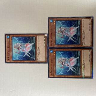 深海のディーヴァ