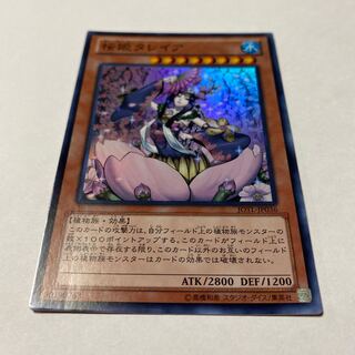 Talaya, Princess of Cherry Blossoms Super Rare JP036