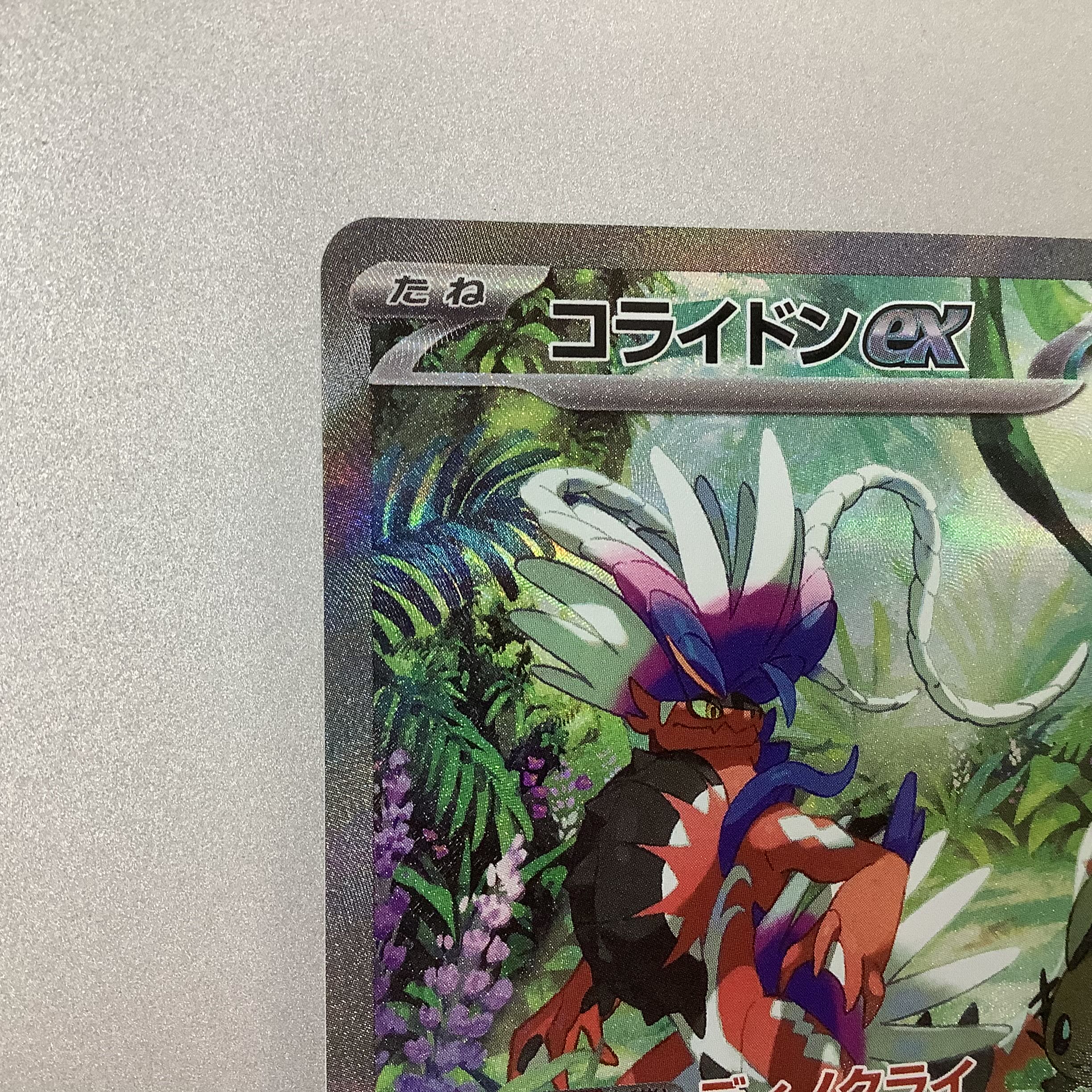 (Beautiful) Colaidon ex 103/078 SAR 1枚