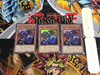 Dragard VJMP 4 Ultra Set of 3 Tera