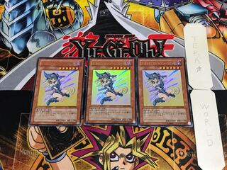 Dark Magician Girl YAP1 3 Ultra Set of 3 Tera