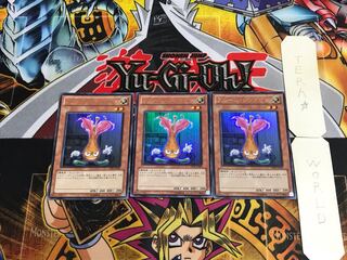 Fleur Synchron TF05 1 Ultra Set of 3 Tera