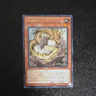 Tenwei Ryu - Ardala Rare JP012 [Mokurindo