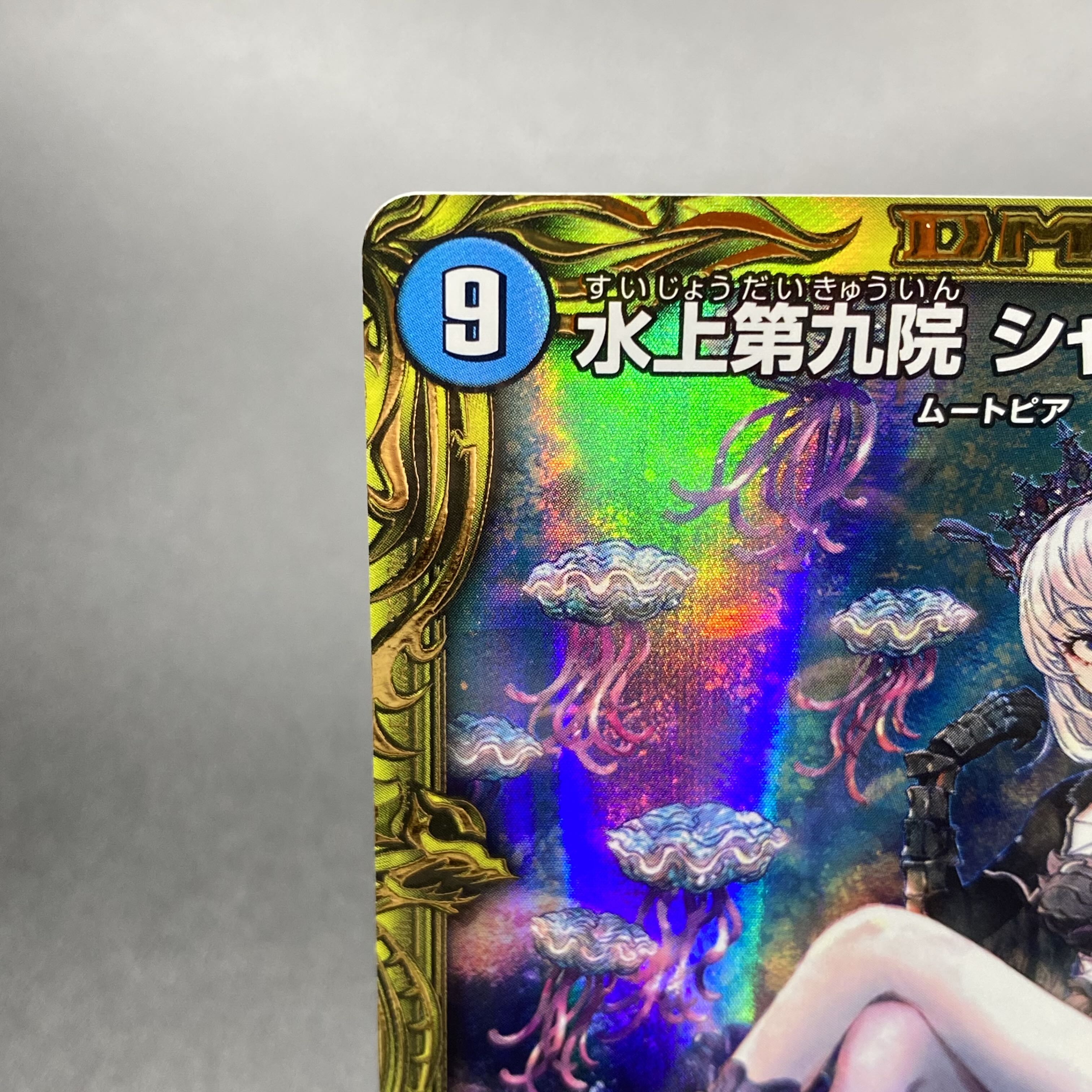 Waterjo Ninth Institute Shakogile 20th SP Rare 17B/20