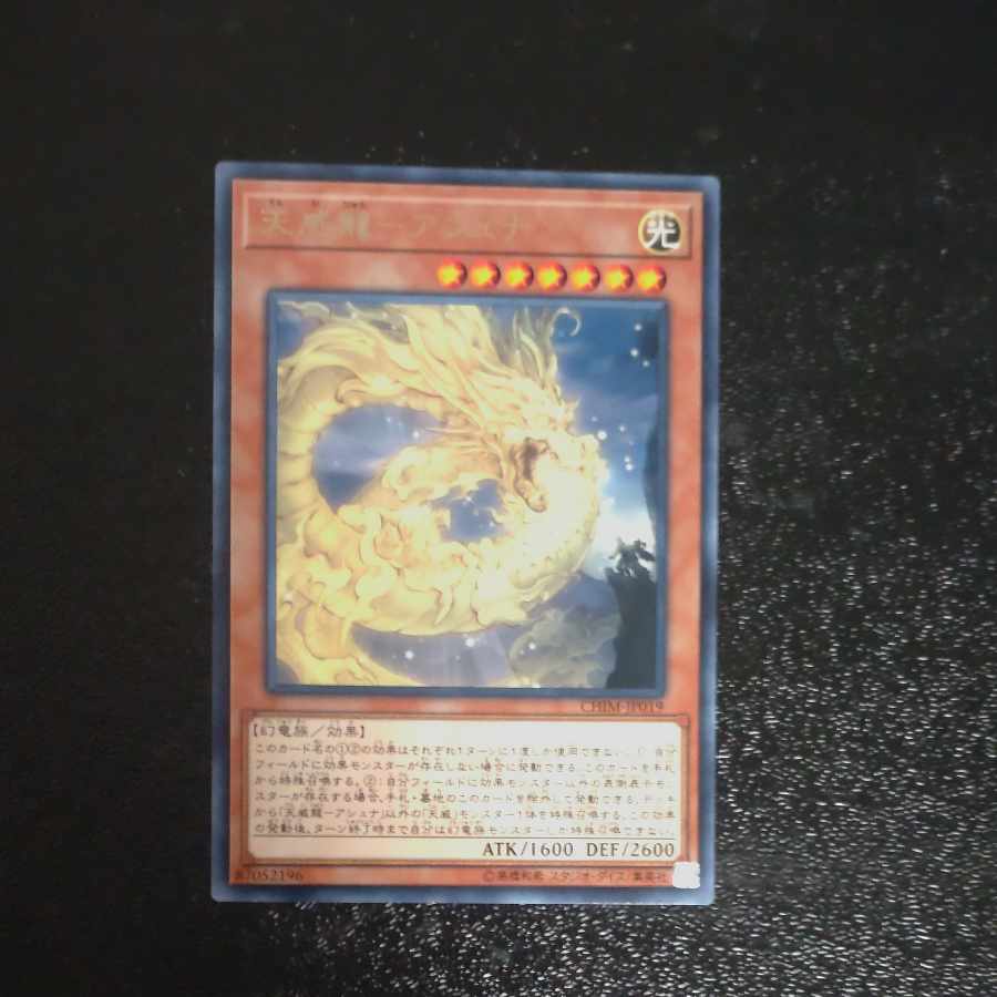 Tenwei Ryu - Ashna Rare JP019 [Mokurindo