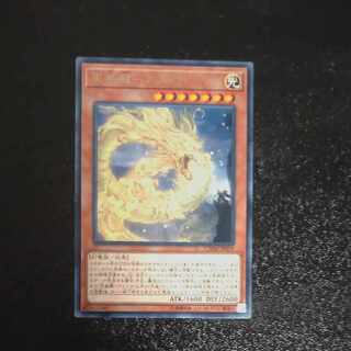 Tenwei Ryu - Ashna Rare JP019 [Mokurindo