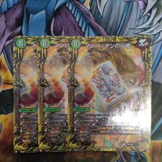 Heart Picture of Manhattan (20th Rare Spec.) R-foil 14A/20