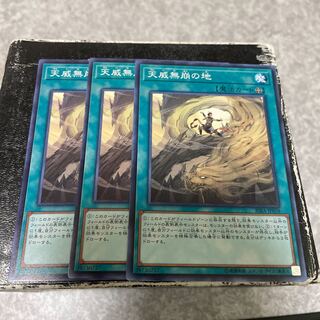 Flawless Perfection of the Tenyi Normal 3 cards