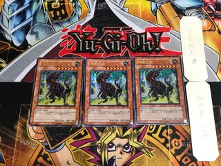 Black Tyranno 307 3 Ultra Set of 3 Tera