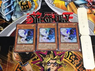 光と闇の竜 YG01 2 ウルトラ 3枚セット てら