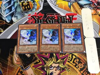 Light and Darkness Dragon YG01 5 Ultra Set of 3 Tera