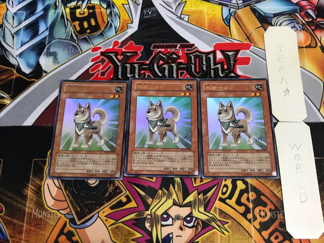 Shiba-Warrior Taro YAP1 2 Ultra Set of 3 Tera