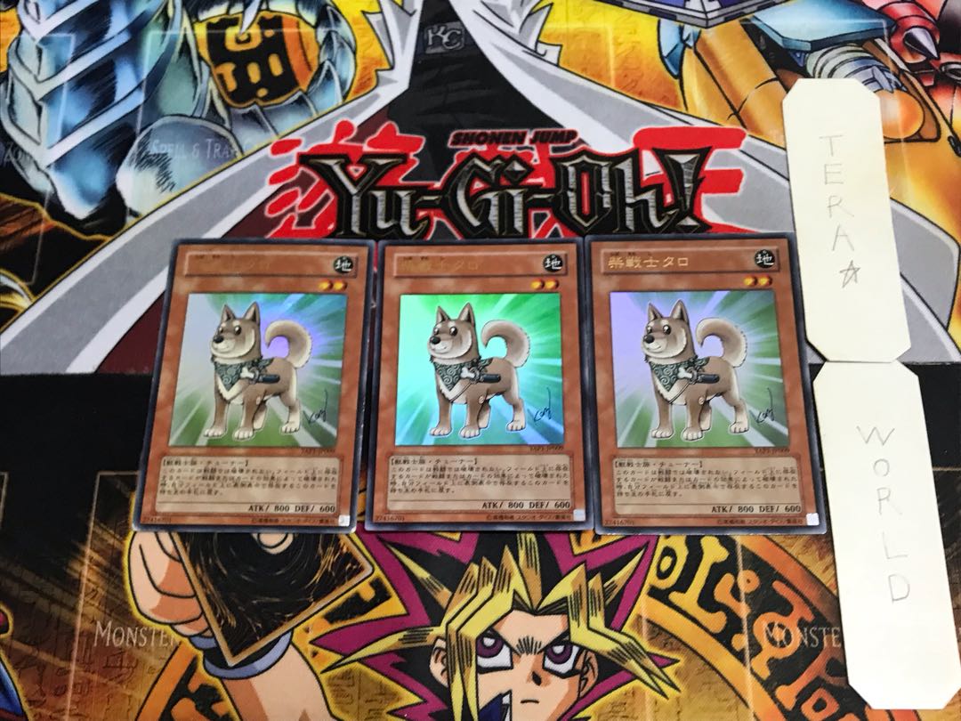 Shiba-Warrior Taro YAP1 4 Ultra Set of 3 Tera