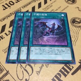 亡龍の旋律【N】