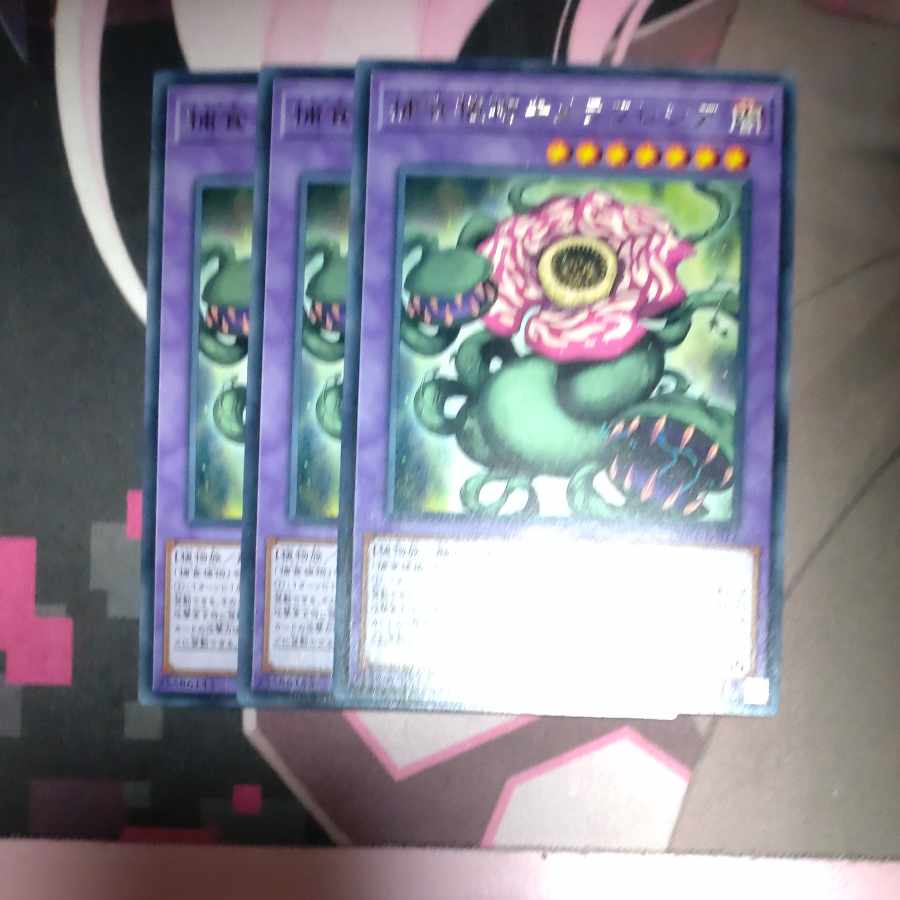 Predaplant Chimerafflesia Rare JP072 3 copies