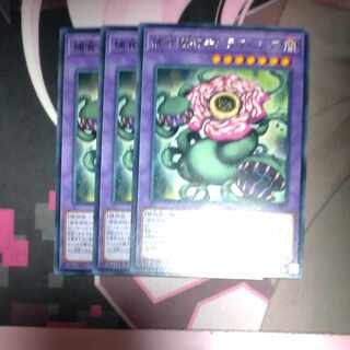 Predaplant Chimerafflesia Rare JP072 3 copies