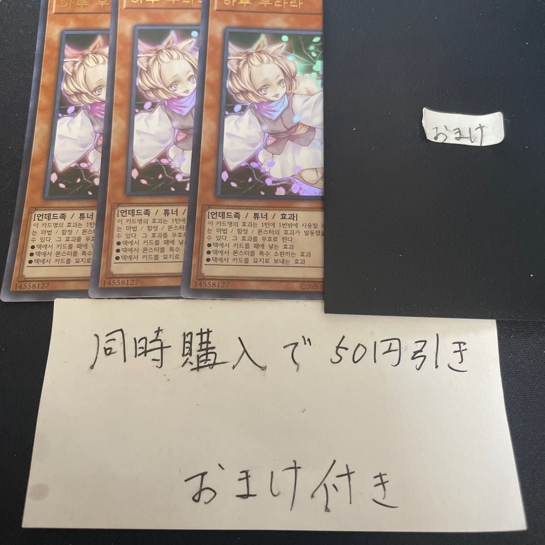 Ash Blossom & Joyous Spring Ultra Korea 27277