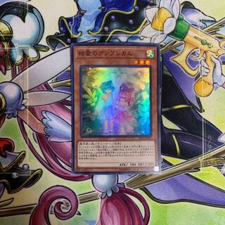 Angraecum Umbrella Super