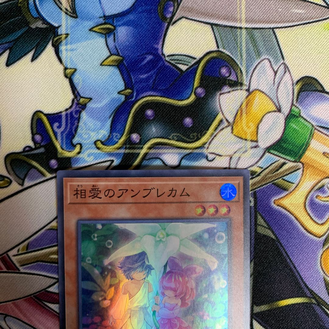 Angraecum Umbrella Super