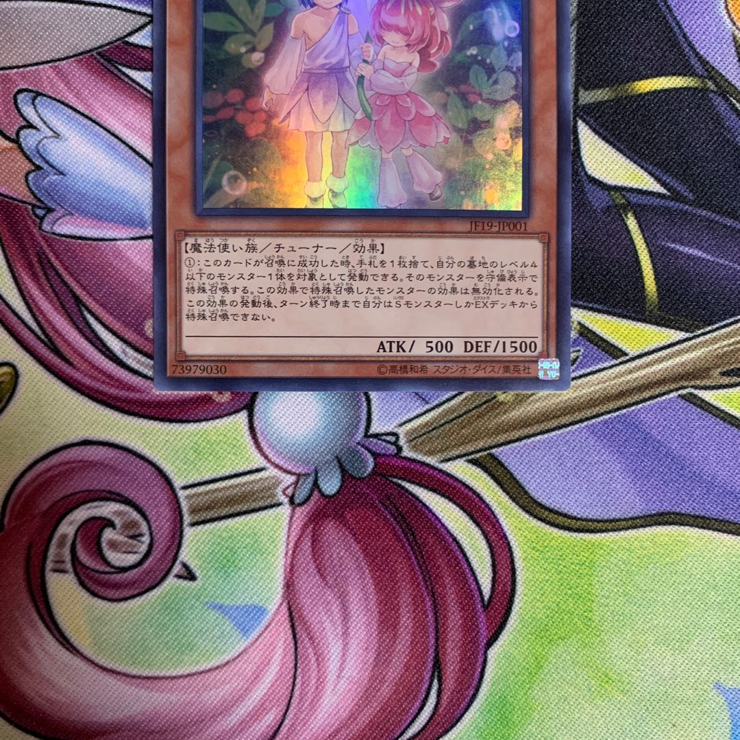 Angraecum Umbrella Super