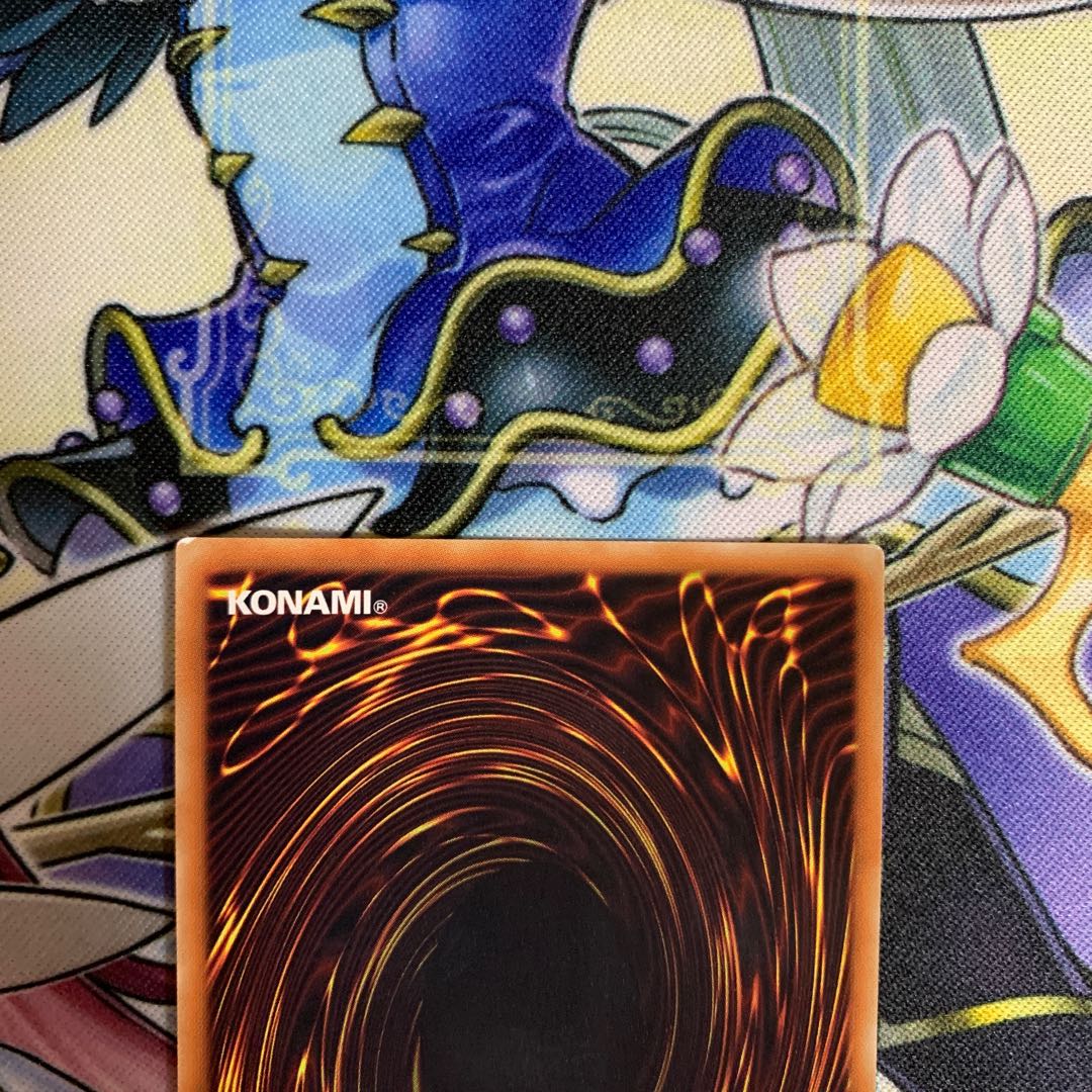 Angraecum Umbrella Super