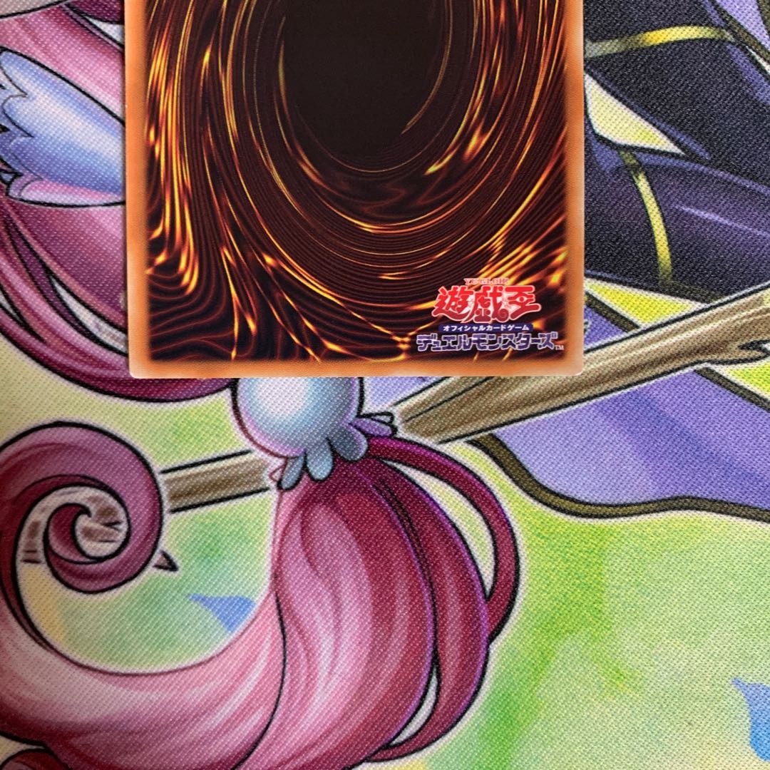 Angraecum Umbrella Super