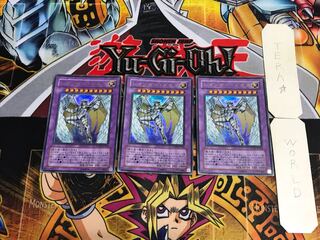 Rainbow Neos PTDN 1 Ultra Set of 3 Tera