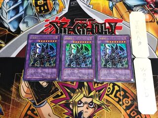 Psychic Mage Swordsman - Black Paladin SY2 4 Ultra Set of 3 Tera.